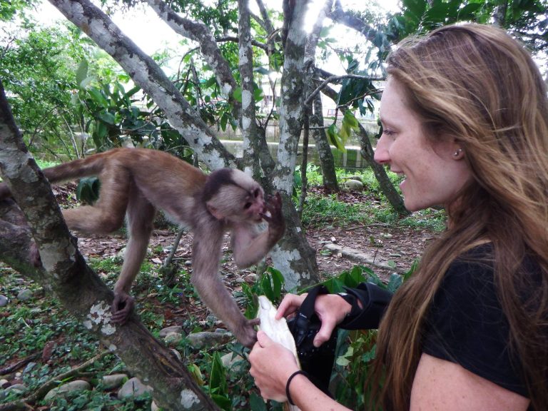 Meeting monkeys in Puerto Misahualli