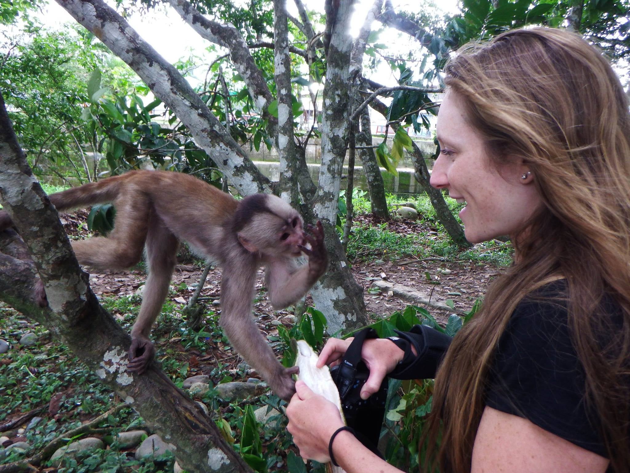 Meeting monkeys in Puerto Misahualli